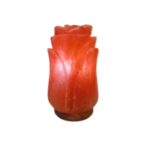 Sift Trades Soultions is the Manufacturer and Whole Sale Supplier Of Himalayan Pink Salt Lamps, Himalayan Pink Salt And Its Products World Wide