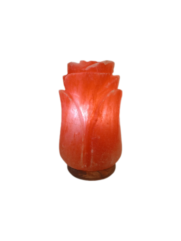 Sift Trades Soultions is the Manufacturer and Whole Sale Supplier Of Himalayan Pink Salt Lamps, Himalayan Pink Salt And Its Products World Wide