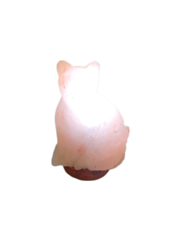 himalayan pink salt lamp cat lamp