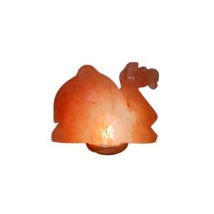 Himalayan Pink Salt Camal Lamp