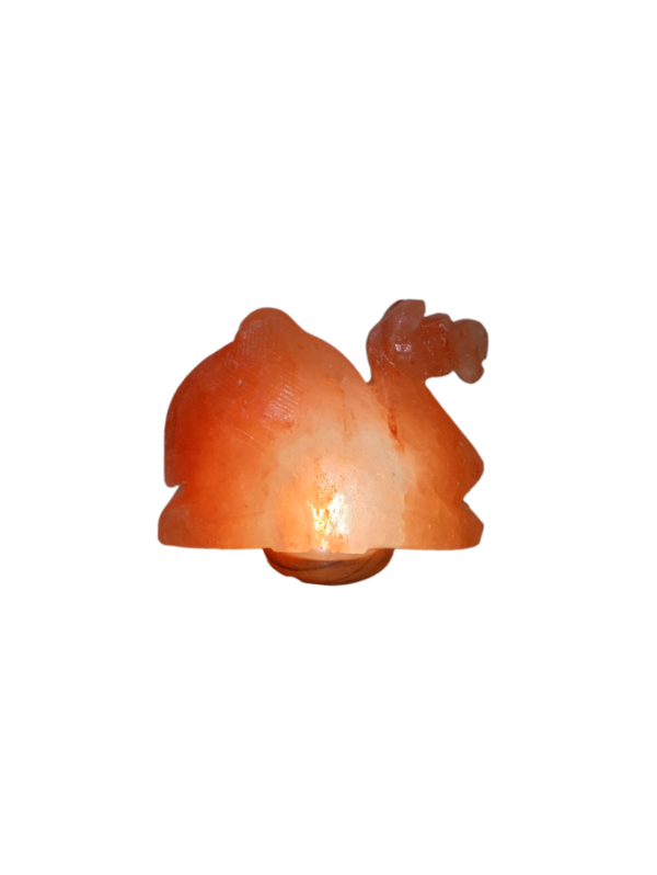 himalayan pink salt camal lamp supplier