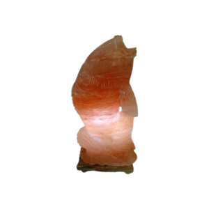 Himalayan Pink Salt Fish Lamp