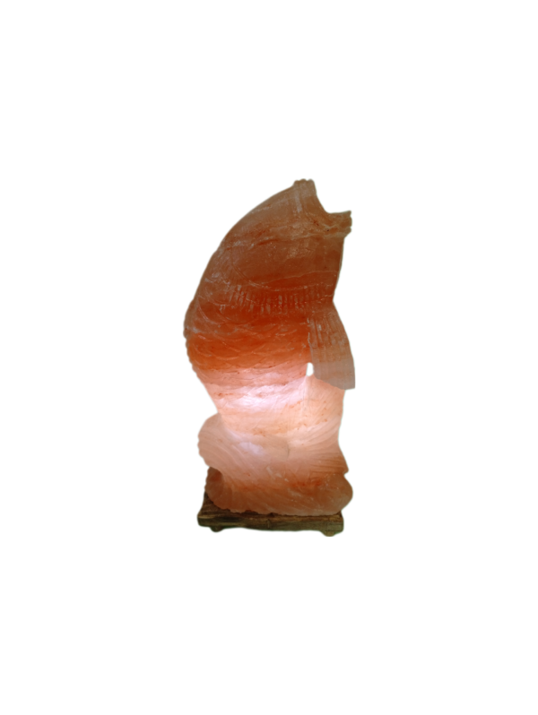 himalayan pink salt fish lamp